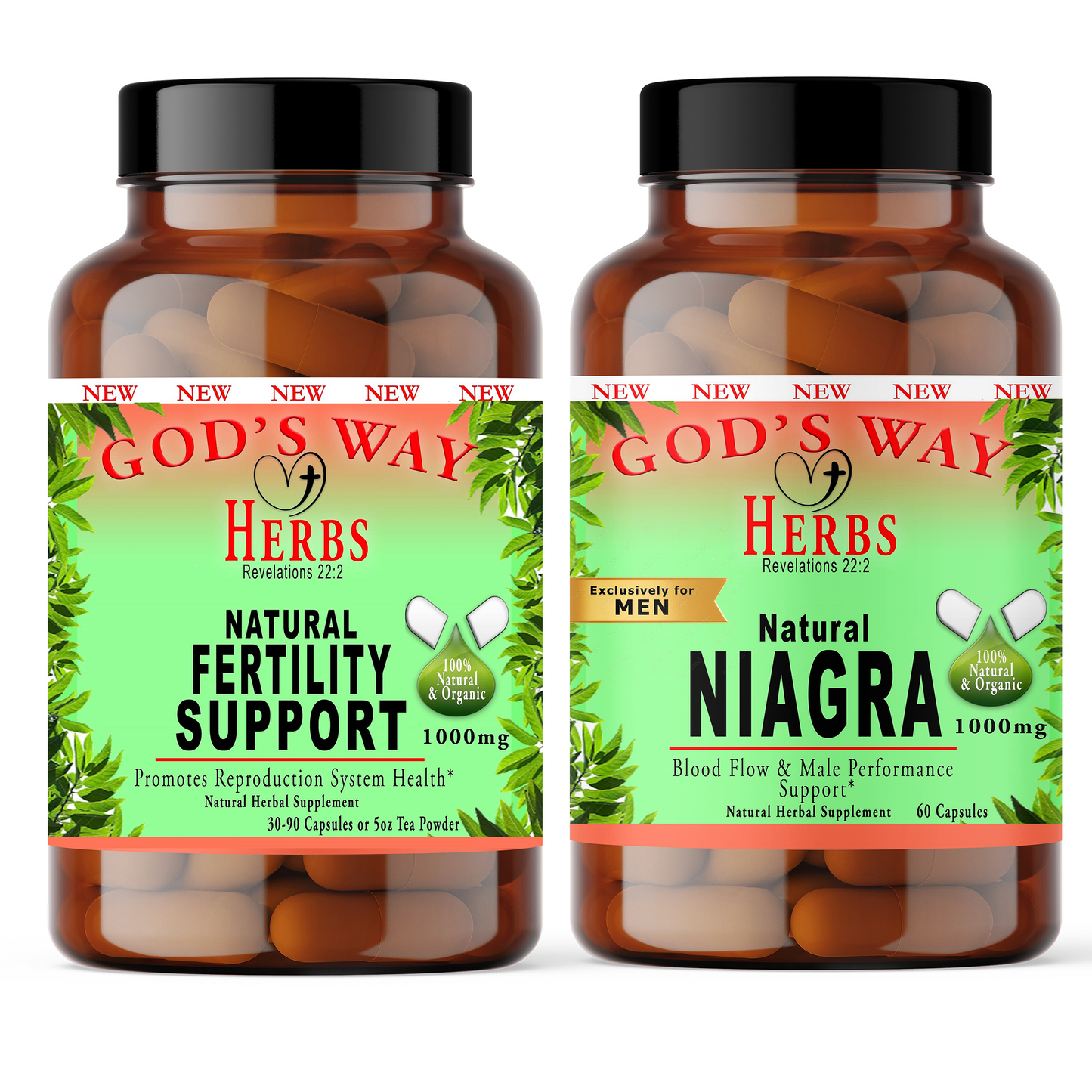 Girl Power Fertility Duo by God's Way Herbs