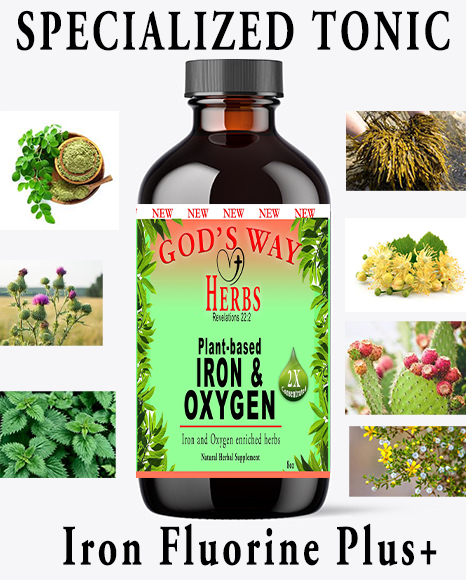 Plant-based Iron & Oxygen 8oz liquid Tonic Multi Vitamin by God's Way Herbs- Natural Herbal Supplements and tea, dr sebi green food and iron plus ingredients combined! moringa, stinging nettle, bladderwrack, chaparral, linden flowers, nopal cactus, blessed thistle