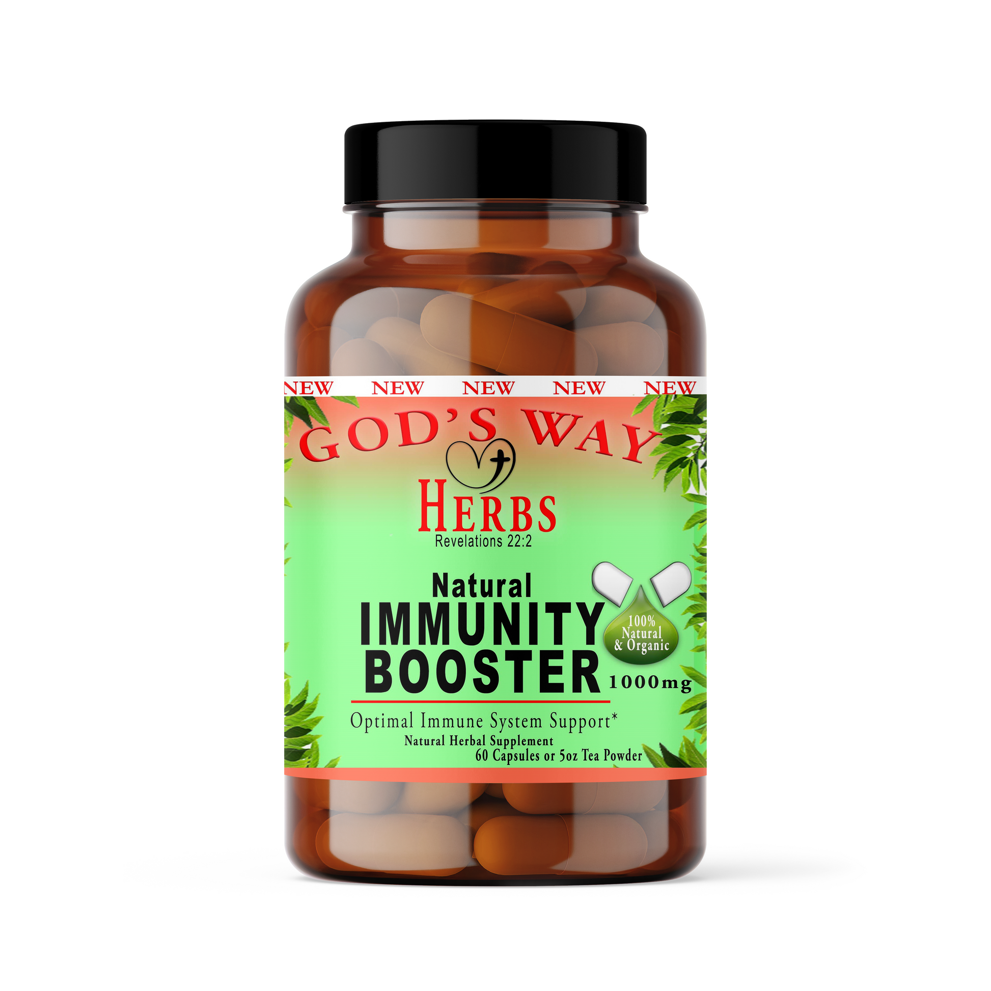 Immunity Booster 60ct by Gods Way Herbs with echinacea, astrgalus, ginger, black walnut and more!